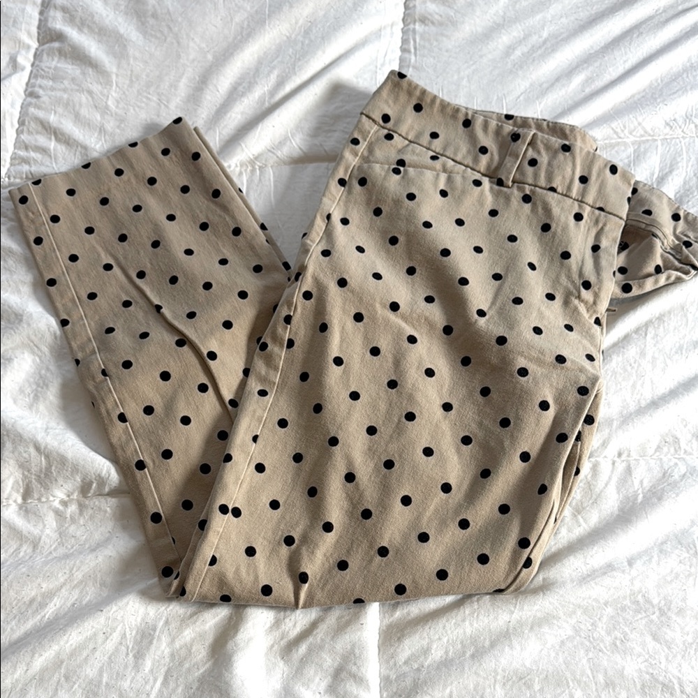 New York & Company Beige Pants with Black Polka Dots